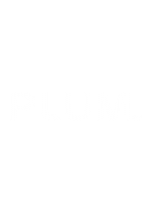 Brand Identity for CRE Loan Company Plum